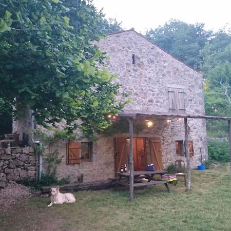 Maison De Vignes De Tournemire Tournemire  Exterior photo